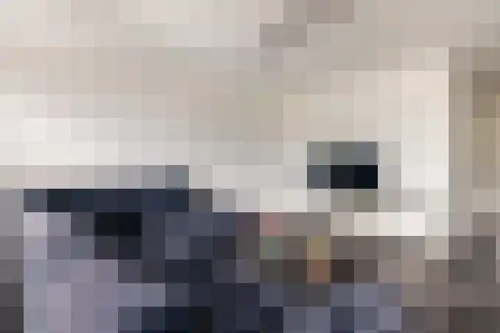 Androsdreef 140 Utrecht thumbnail 5