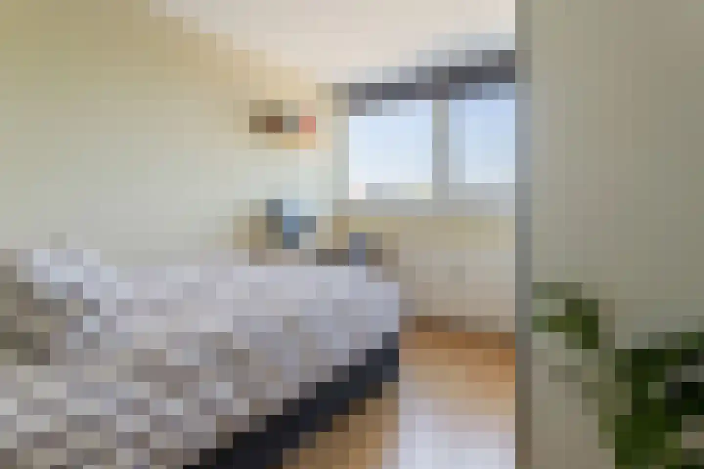 Androsdreef 150 Utrecht thumbnail 21
