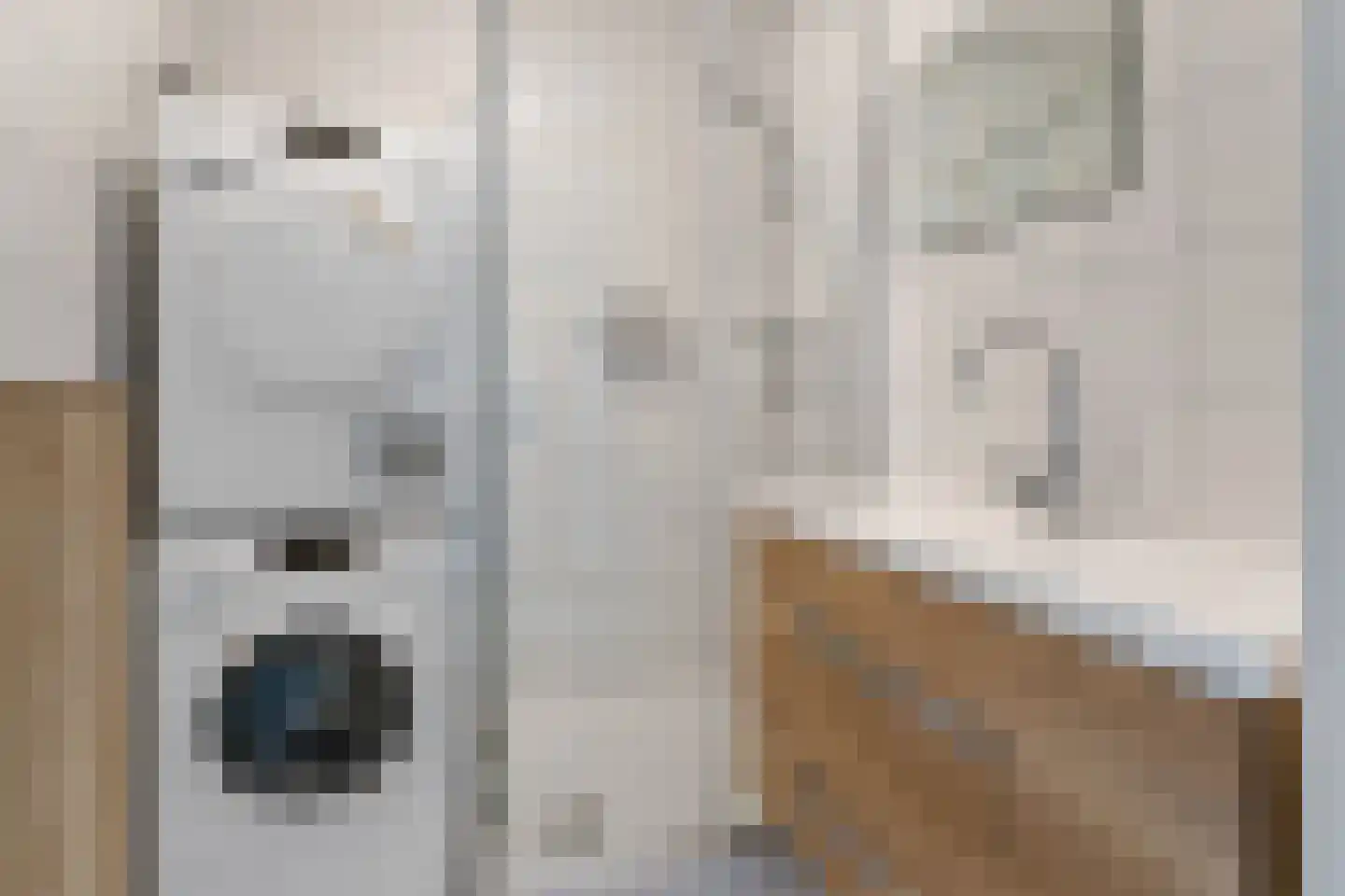 Androsdreef 150 Utrecht thumbnail 22