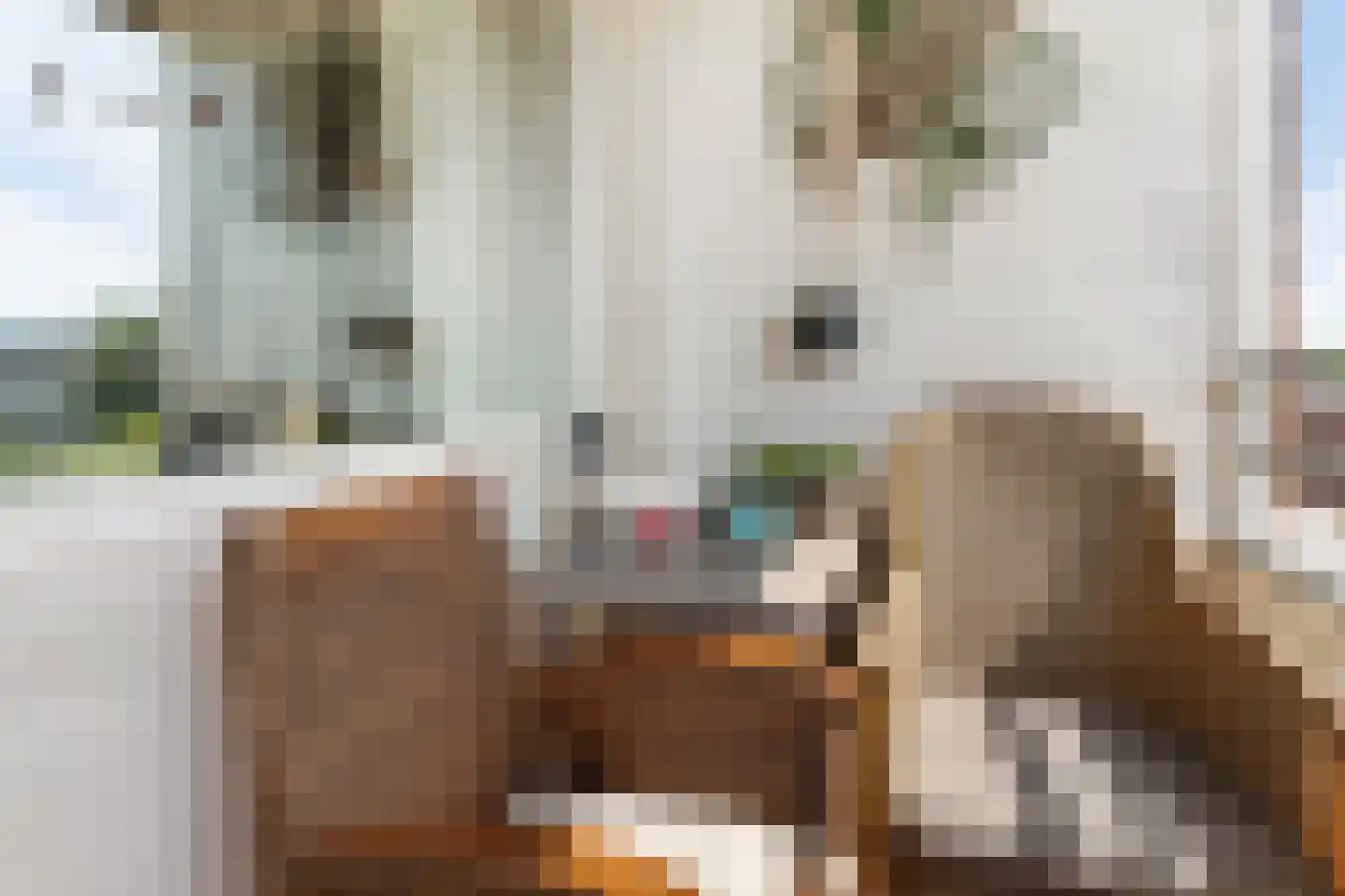 Androsdreef 16 Utrecht thumbnail 20