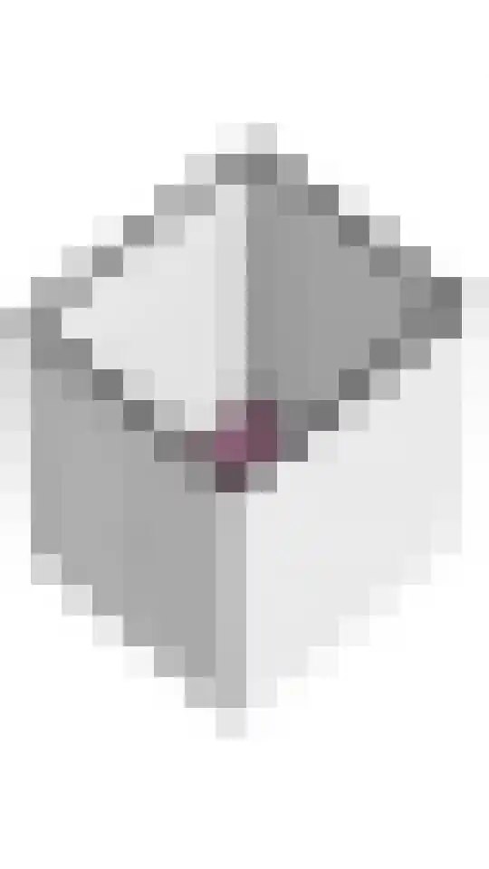 Androsdreef 16 Utrecht thumbnail 35