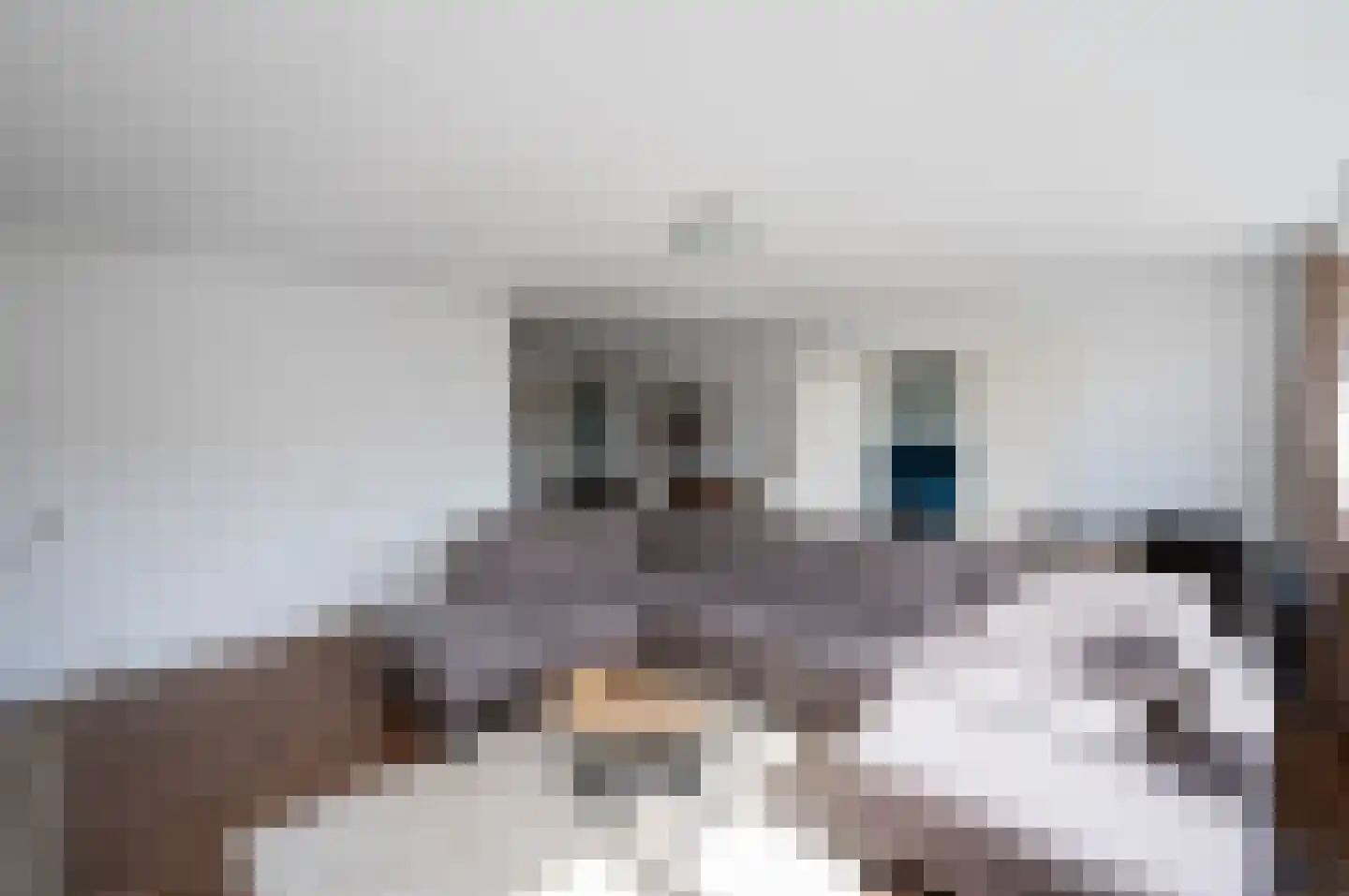 Androsdreef 172 Utrecht thumbnail 4