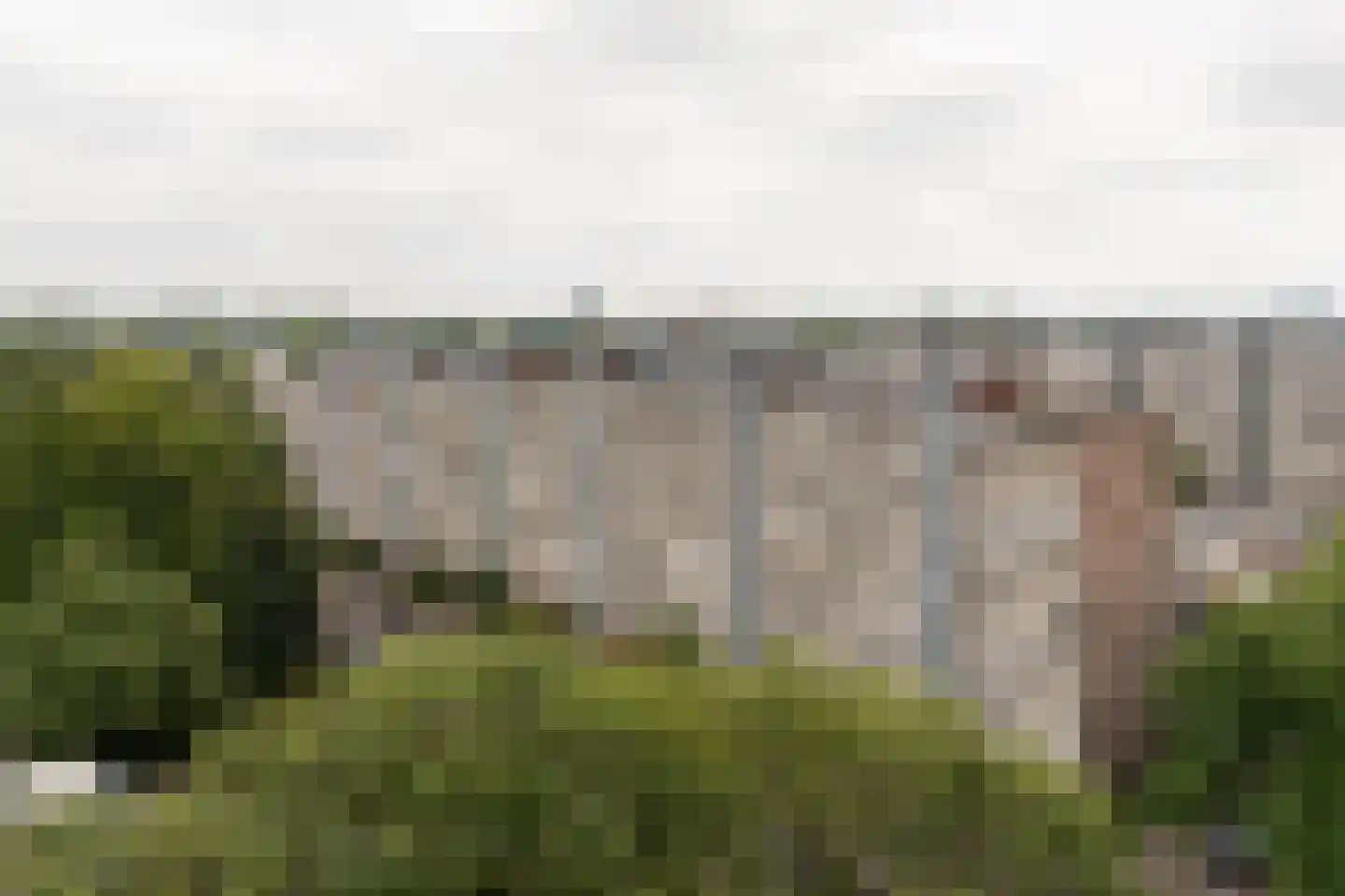 Androsdreef 192 Utrecht thumbnail 23