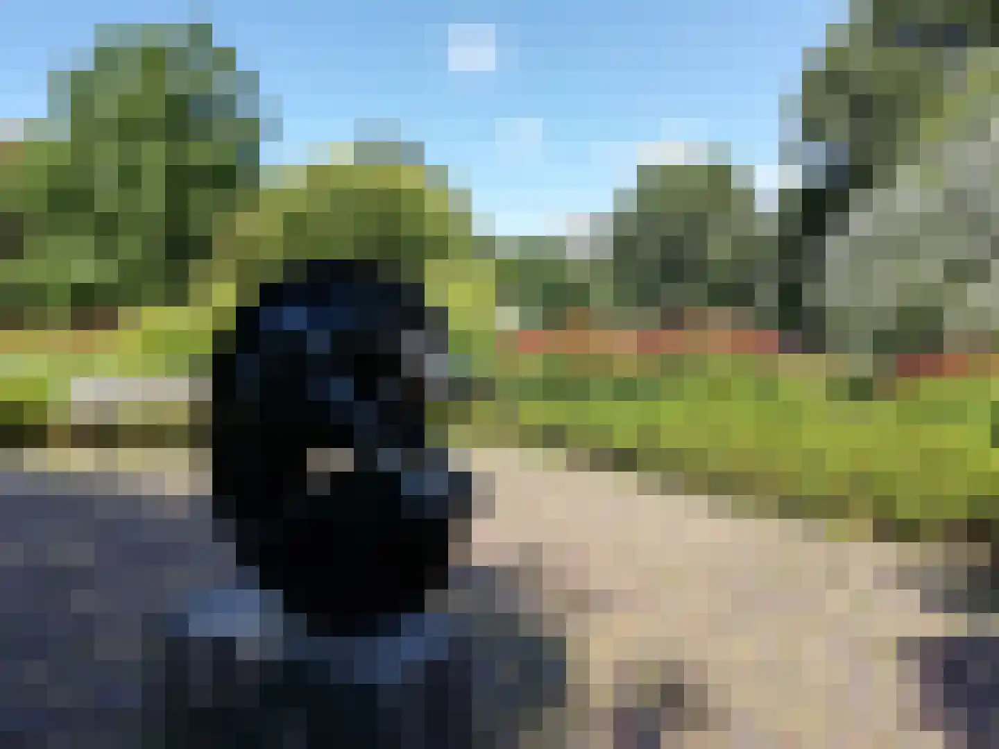 Androsdreef 192 Utrecht thumbnail 25