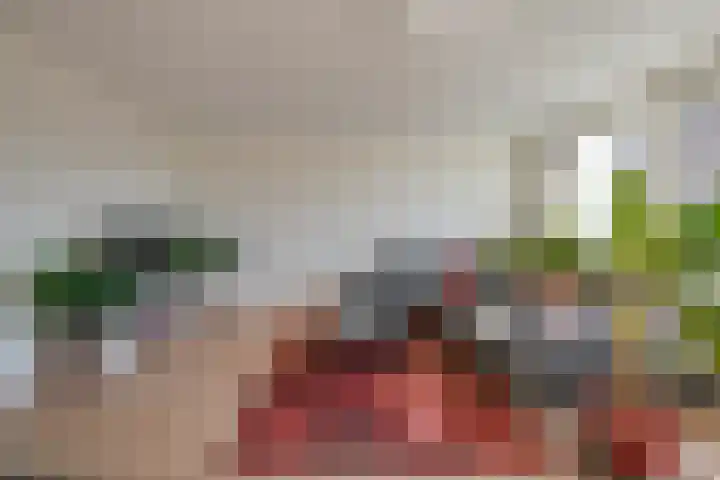 Androsdreef 26 Utrecht thumbnail 11
