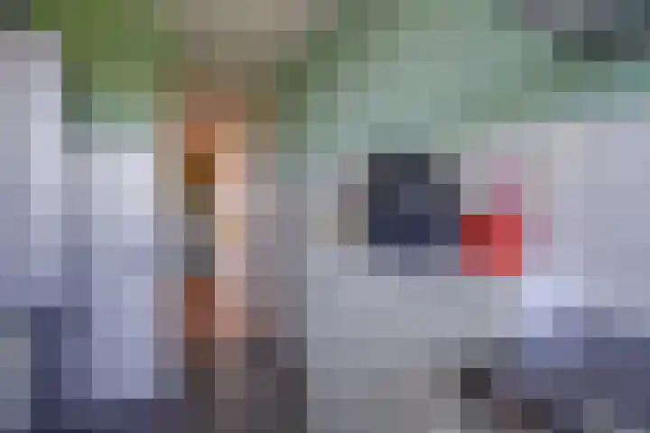 Androsdreef 26 Utrecht thumbnail 17