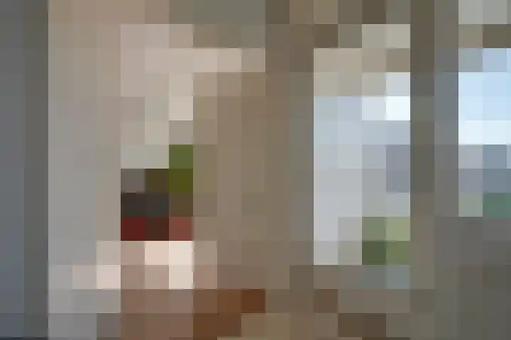 Androsdreef 26 Utrecht thumbnail 21