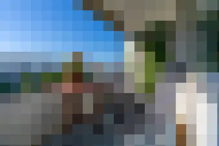 Androsdreef 26 Utrecht thumbnail 22
