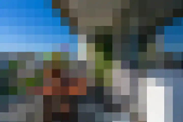 Androsdreef 26 Utrecht thumbnail 23