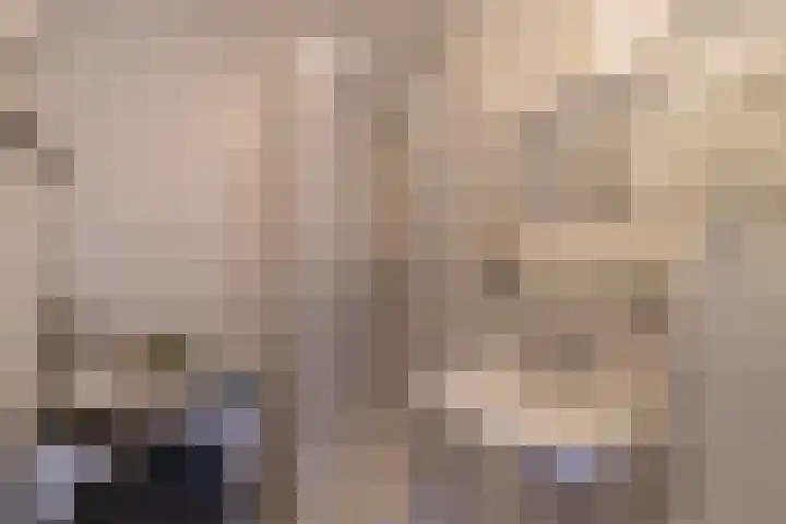 Androsdreef 26 Utrecht thumbnail 31