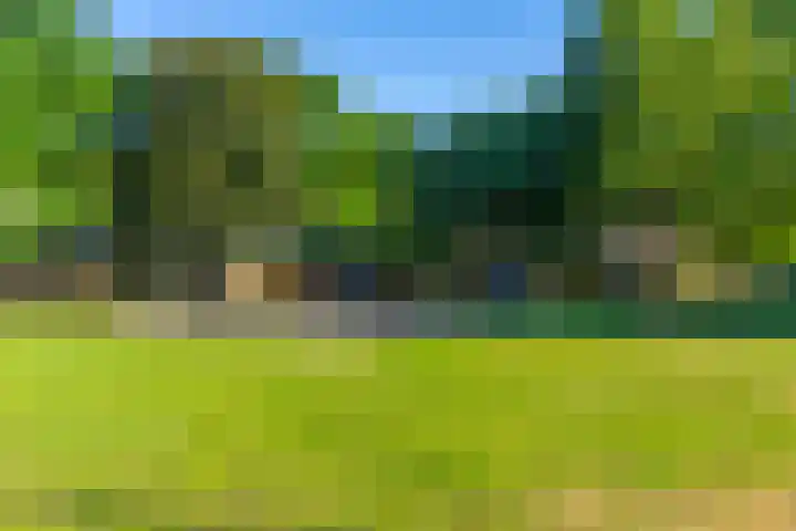 Androsdreef 26 Utrecht thumbnail 35