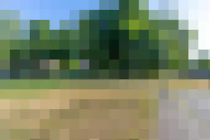 Androsdreef 26 Utrecht thumbnail 37