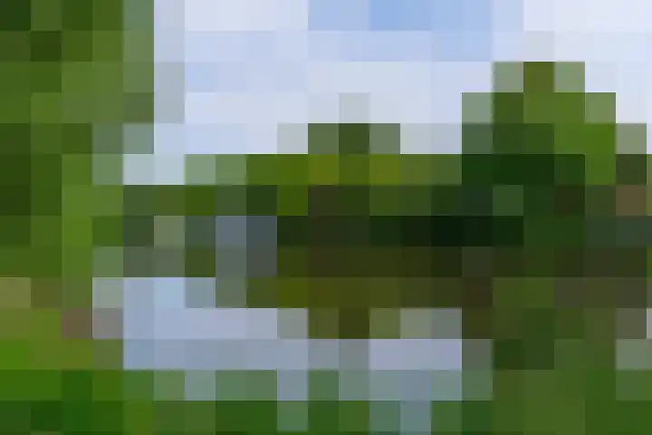 Androsdreef 26 Utrecht thumbnail 38