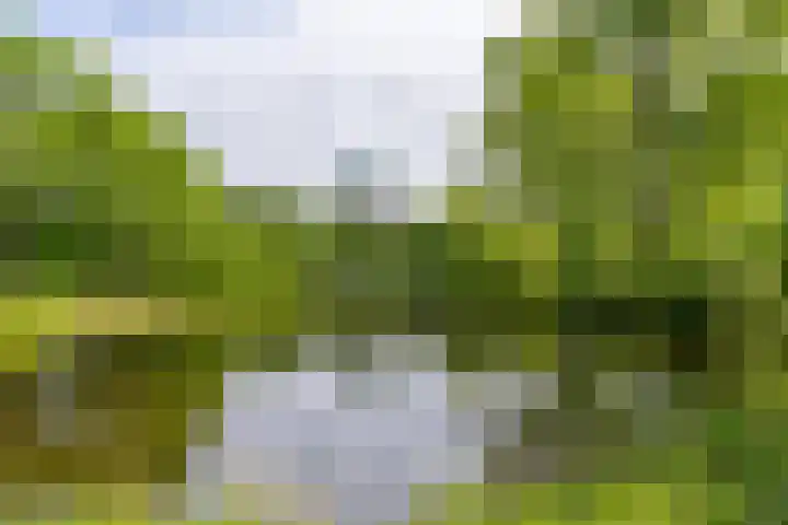 Androsdreef 26 Utrecht thumbnail 39