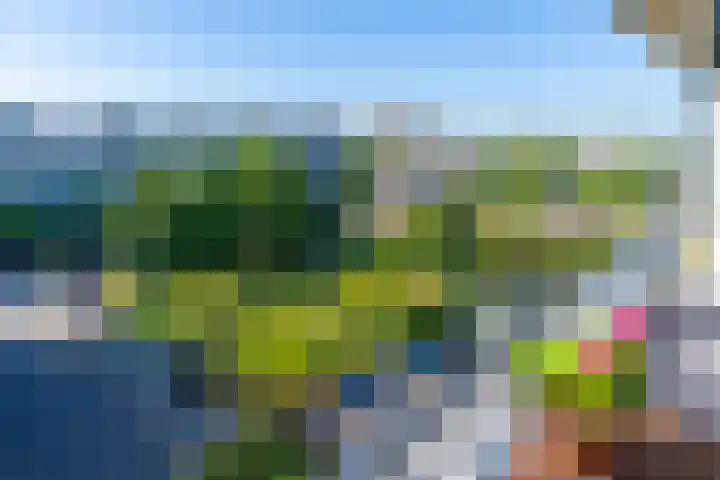 Androsdreef 26 Utrecht thumbnail 4
