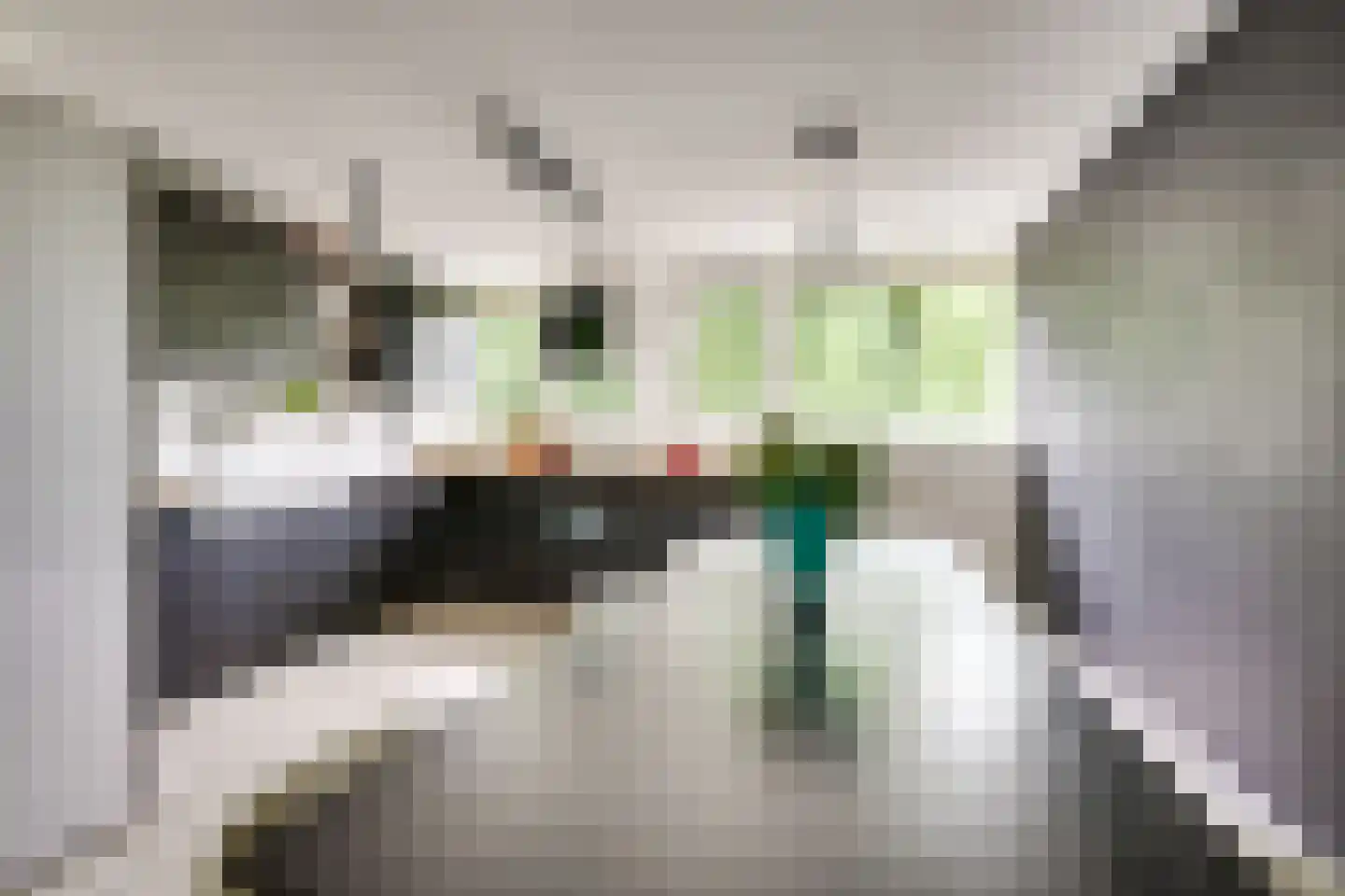 Androsdreef 36 Utrecht thumbnail 10
