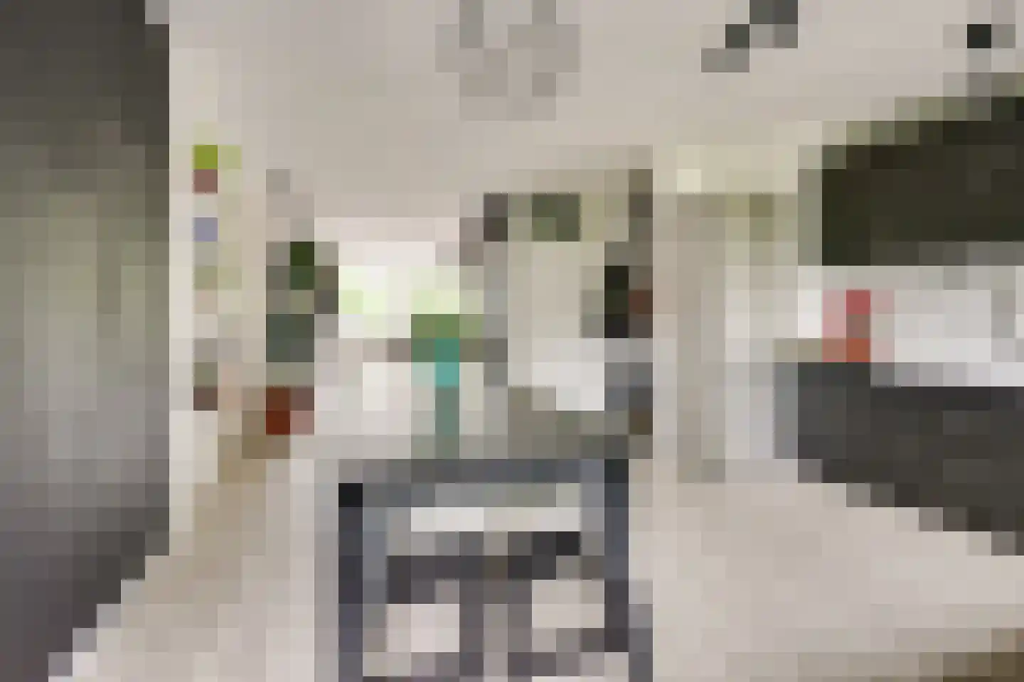 Androsdreef 36 Utrecht thumbnail 16