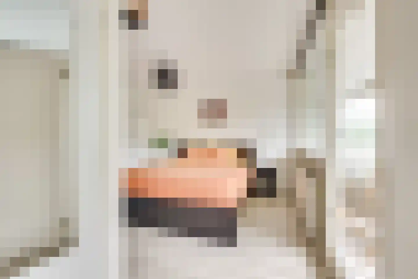 Androsdreef 36 Utrecht thumbnail 24