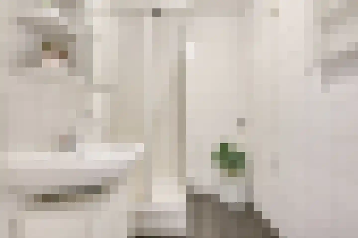 Androsdreef 36 Utrecht thumbnail 32