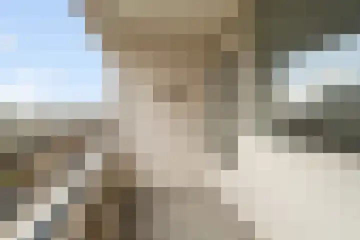 Androsdreef 80 Utrecht thumbnail 18
