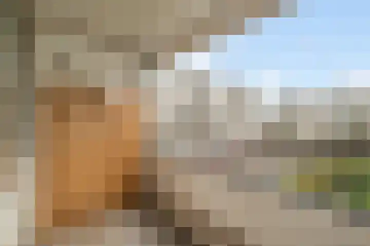 Androsdreef 80 Utrecht thumbnail 19