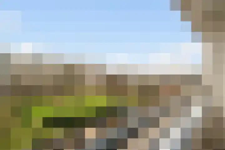 Androsdreef 80 Utrecht thumbnail 20