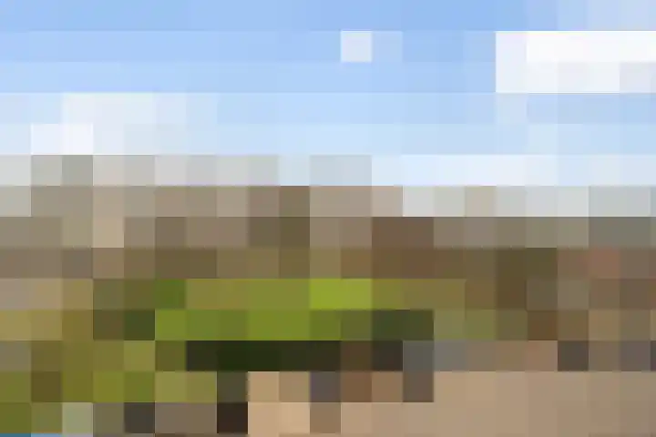 Androsdreef 80 Utrecht thumbnail 21