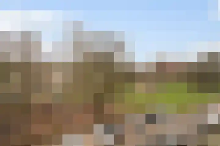 Androsdreef 80 Utrecht thumbnail 22