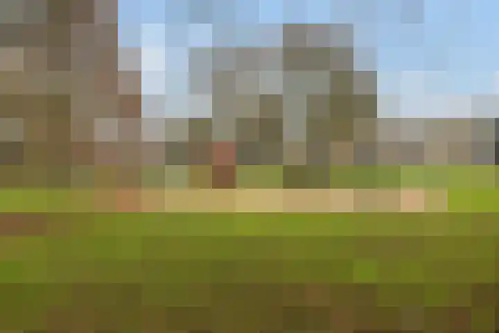 Androsdreef 80 Utrecht thumbnail 24