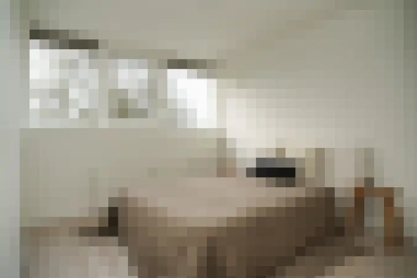 Androsdreef 80 Utrecht thumbnail 25