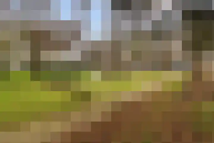 Androsdreef 80 Utrecht thumbnail 25