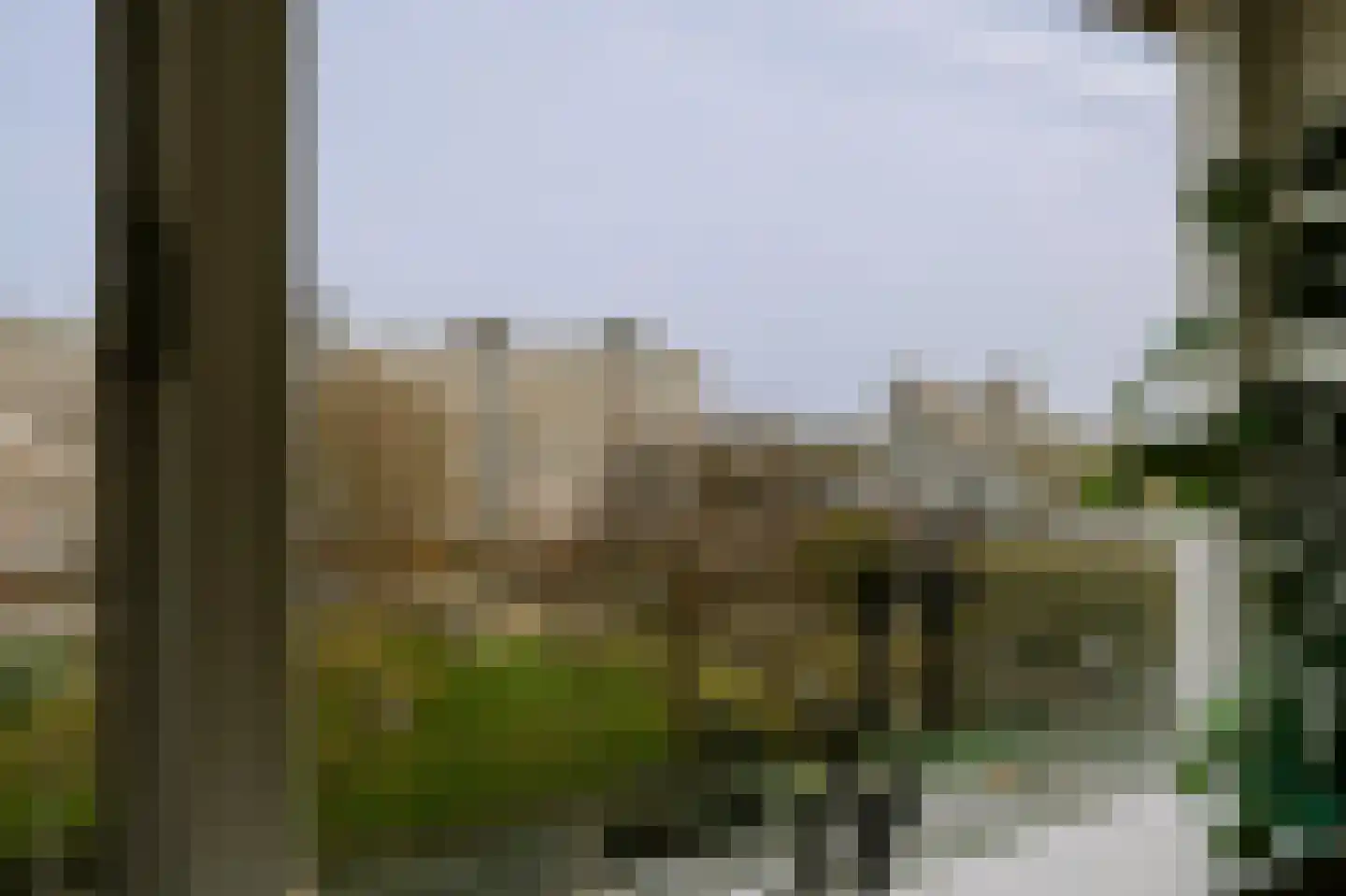 Androsdreef 80 Utrecht thumbnail 9