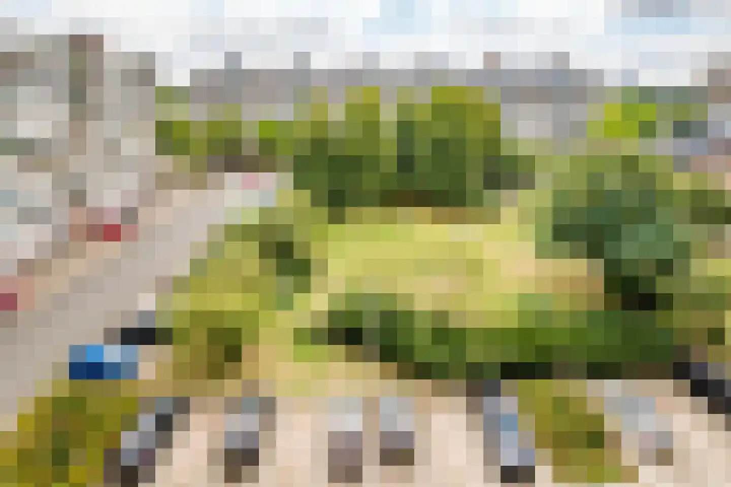 Androsdreef 88 Utrecht thumbnail 17