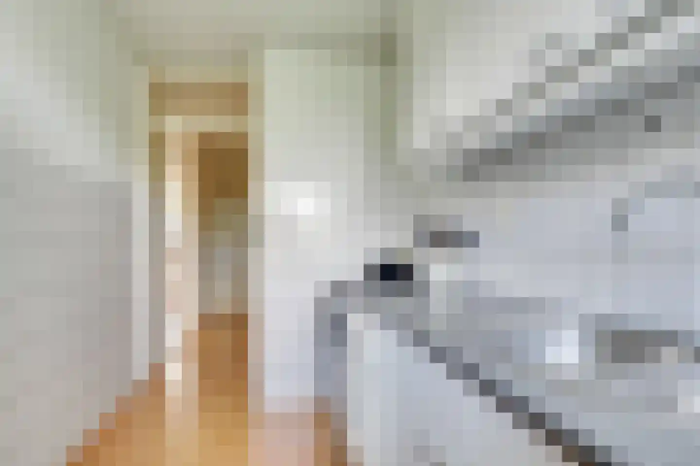 Androsdreef 88 Utrecht thumbnail 28