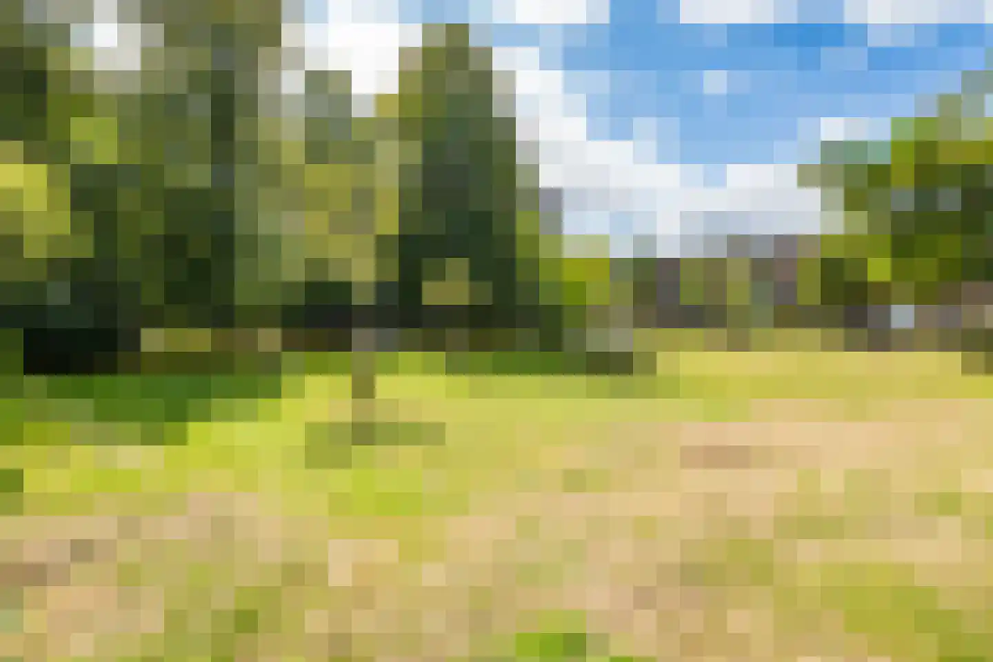Androsdreef 88 Utrecht thumbnail 36