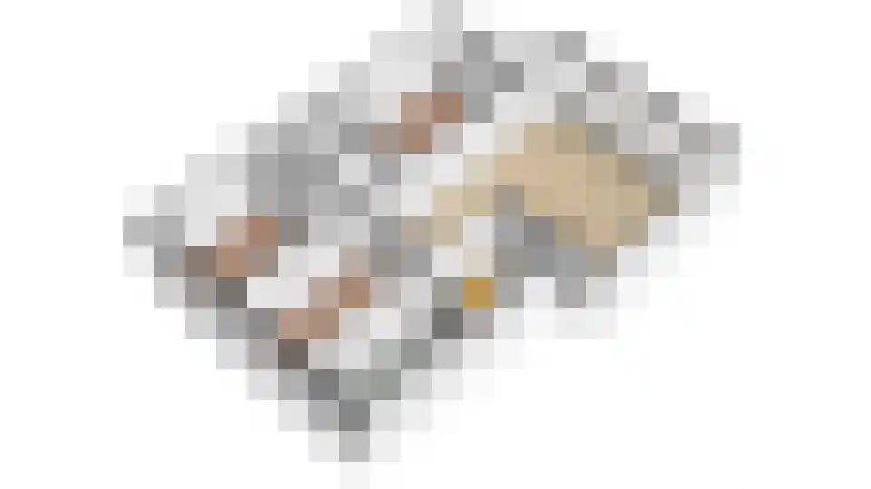 Androsdreef 88 Utrecht thumbnail 39