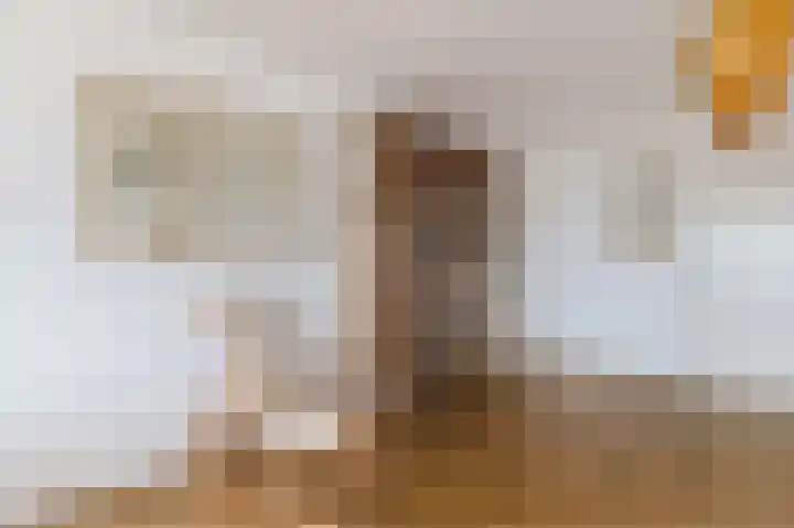 Androsdreef 94 Utrecht thumbnail 12