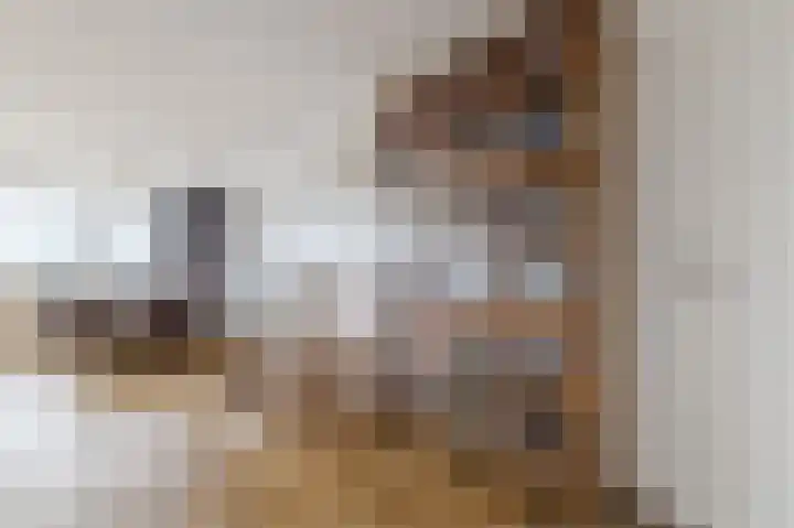 Androsdreef 94 Utrecht thumbnail 13