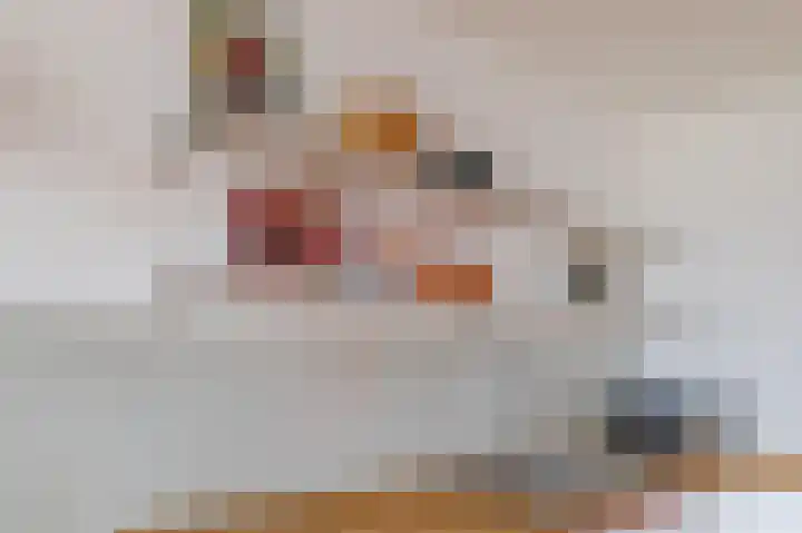 Androsdreef 94 Utrecht thumbnail 16