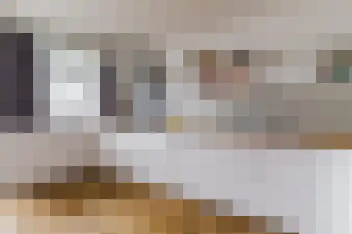 Androsdreef 94 Utrecht thumbnail 18