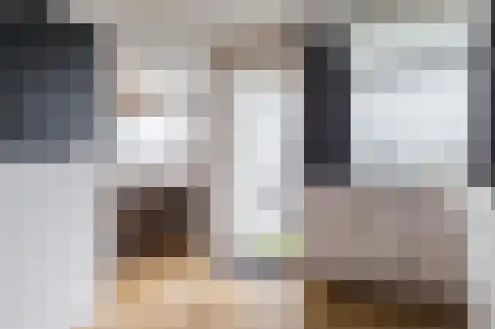 Androsdreef 94 Utrecht thumbnail 20