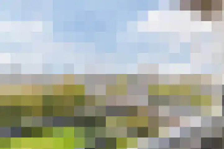 Androsdreef 94 Utrecht thumbnail 23