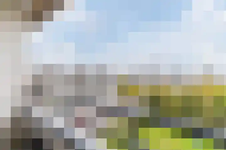 Androsdreef 94 Utrecht thumbnail 24