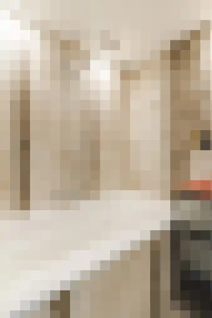 Androsdreef 94 Utrecht thumbnail 36