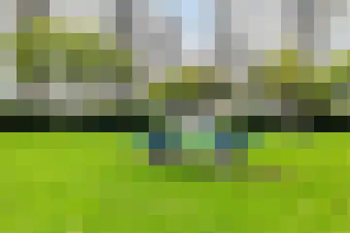 Androsdreef 94 Utrecht thumbnail 52