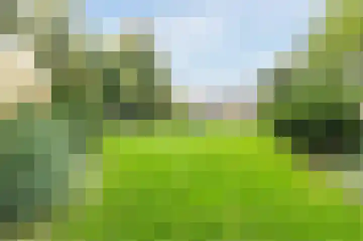Androsdreef 94 Utrecht thumbnail 53