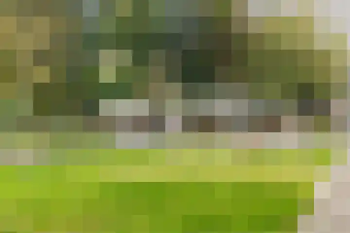 Androsdreef 94 Utrecht thumbnail 56