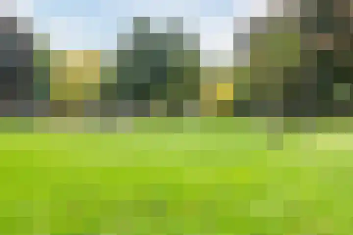 Androsdreef 94 Utrecht thumbnail 57