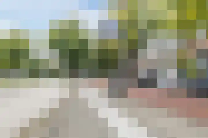 Androsdreef 94 Utrecht thumbnail 59