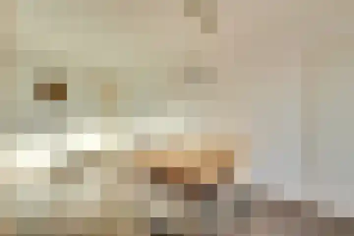 Androsdreef 96 Utrecht thumbnail 13